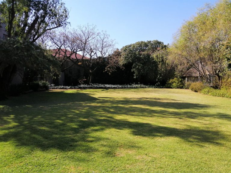 outside green trees
