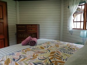 IMG_20220223_133256