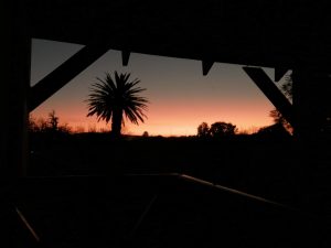 IMG_20220711_175922