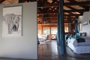 IMG_7029