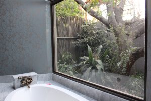 IMG_7101