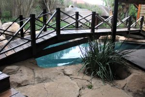 piscine rocher pont