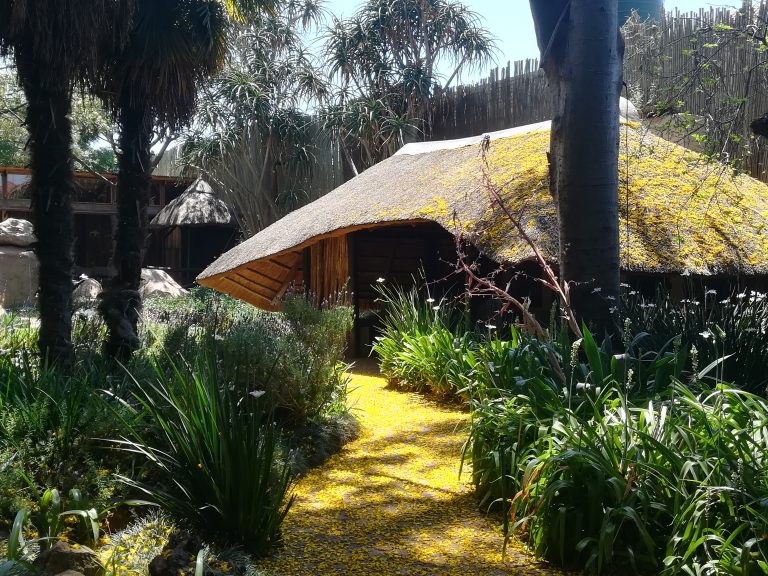 cottage lodge toit en paille