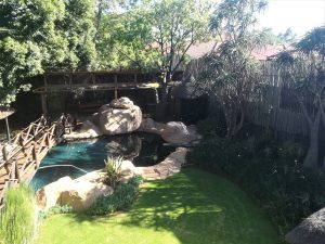 rocher piscine verdure arbre pont