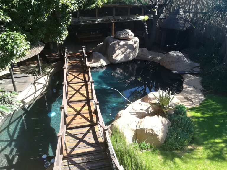 rocher piscine verdure arbre pont