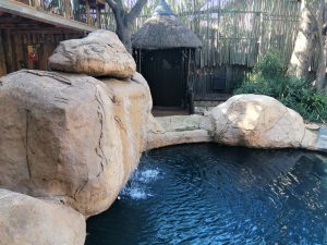 Rocher piscine