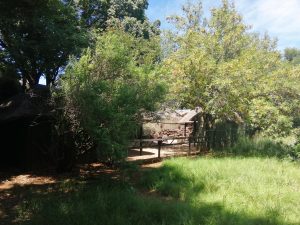 IMG_20220220_110648