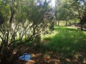 IMG_20220220_110721