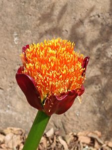 IMG_20230908_100037
