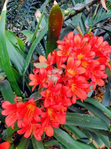 IMG_20230908_100333-EFFECTS