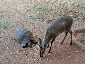 IMG_20231013_170451