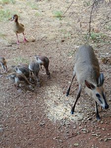IMG_20231025_172713