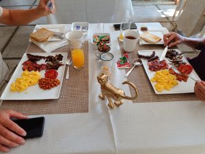 IMG_20231027_085047