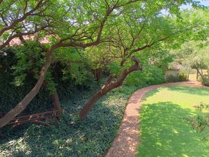 IMG_20231124_100331