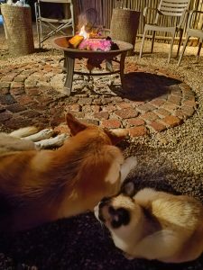 IMG_20231222_222143