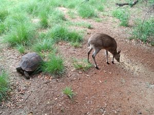 IMG_20240102_172047