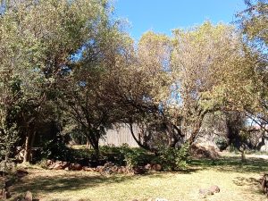 IMG_20240504_102252