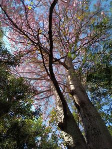 IMG_20240504_103139