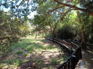 IMG_20240504_103150