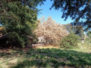IMG_20240504_103221