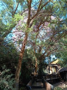 IMG_20240504_103230