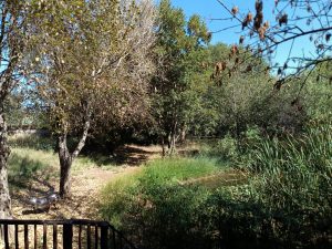 IMG_20240504_103341