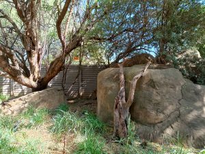 IMG_20240504_104109