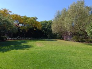 IMG_20240504_104652