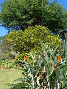 IMG_20240504_104723