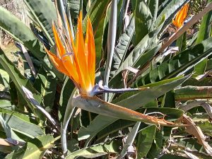 IMG_20240504_104917