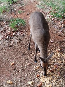 IMG_20240504_173205