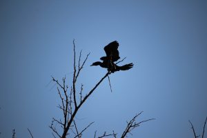 IMG_6838