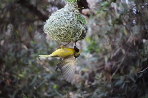 IMG_6865