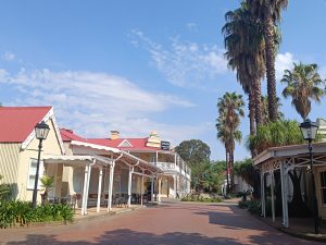 IMG_20241017_144141