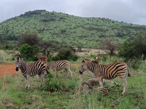 IMG_20250111_095611