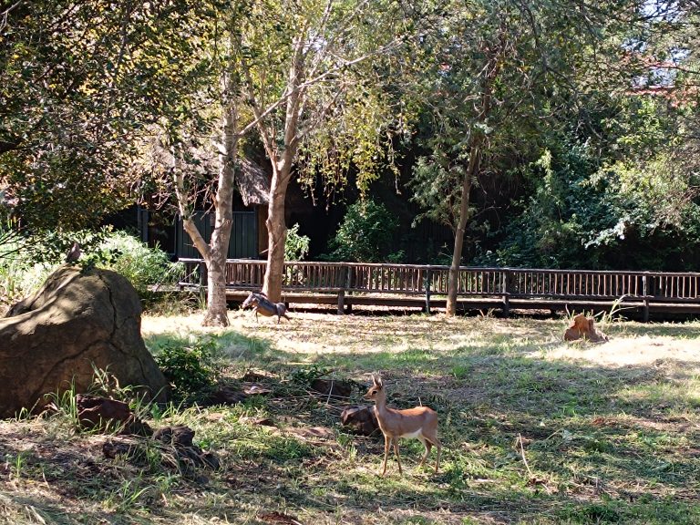 IMG_20250505_122116