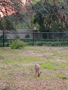 IMG_20250505_172415