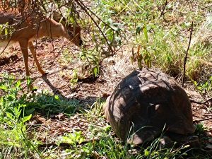 IMG_20250512_134734