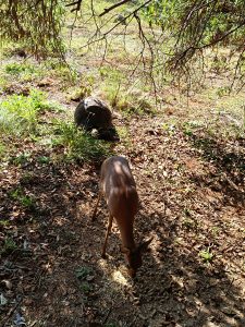 IMG_20250512_134836