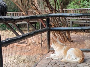 IMG_20250718_164508