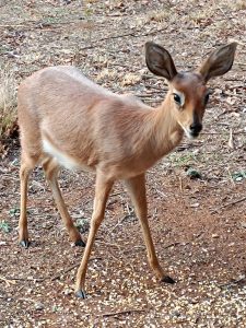 IMG_20250718_165438