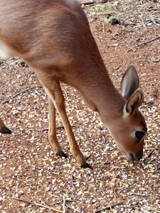 IMG_20250718_165606