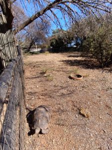 IMG_20250727_103353