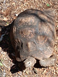 IMG_20250727_103403